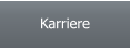 Karriere