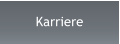 Karriere